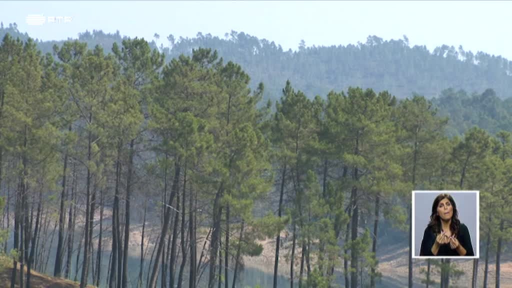 Imagem de Biosfera - Arvorismo