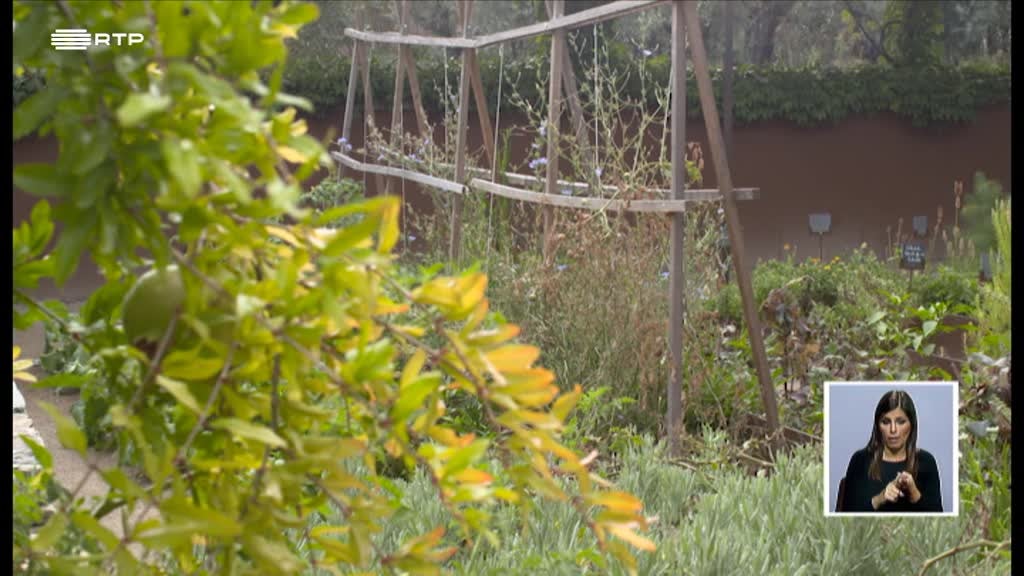 Imagem de Biosfera - Jardins Comestíveis