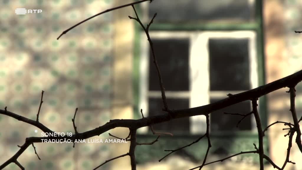 Imagem de Literatura Aqui - Antes de Irmos de Férias, Celebramos o Verão na Literatura Aqui