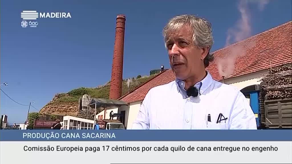 Imagem de Aldeia Global 2019