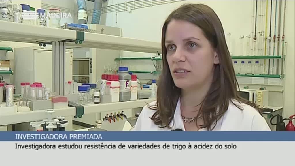 Imagem de Aldeia Global 2019