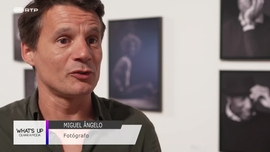 Imagem de Whats Up  - Olhar a Moda