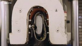 Imagem de Whats Up  - Olhar a Moda