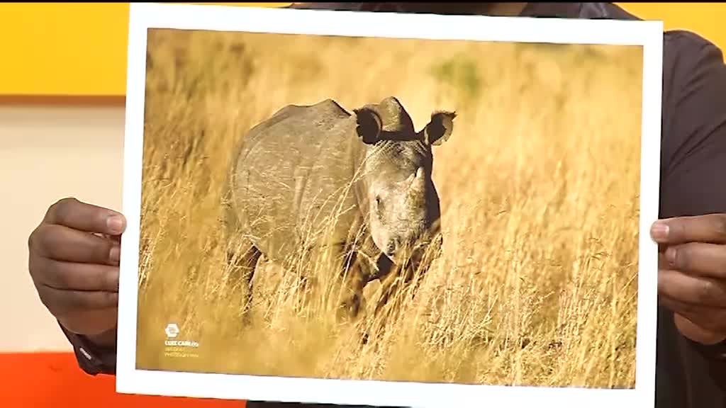 Imagem de Bem-vindos
