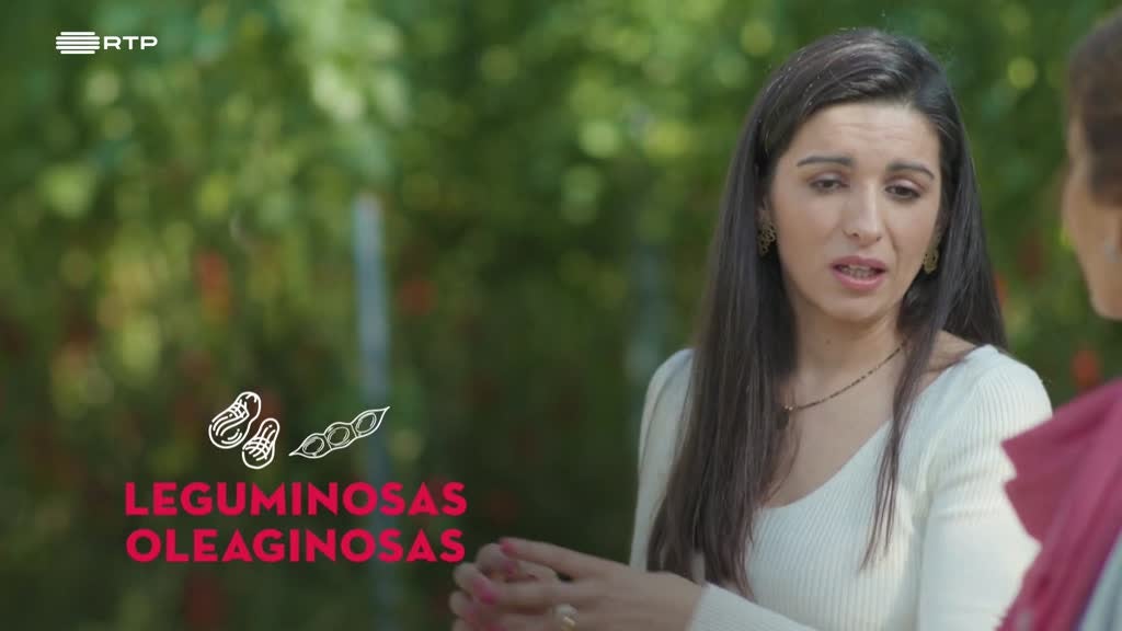 Imagem de À Roda da Alimentação