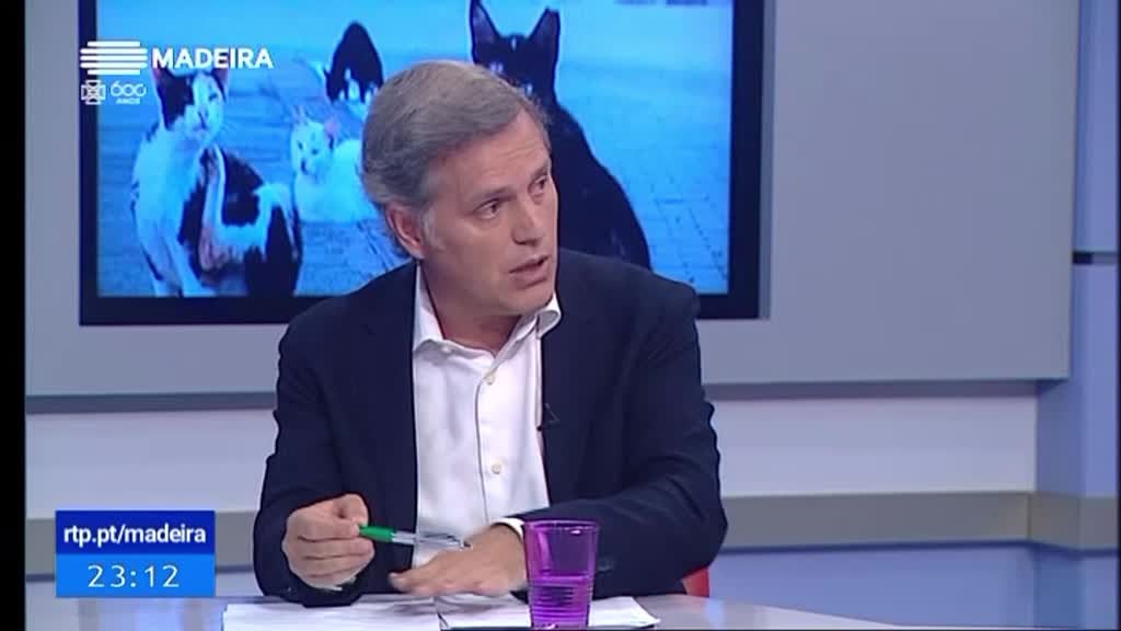 Imagem de Especial Informação (Madeira) 2019 - A causa animal