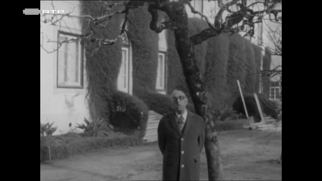 Imagem de Cidadão João de Barros