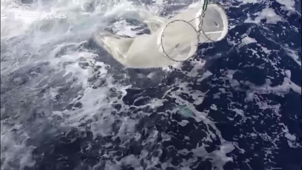 Imagem de A Bordo do Noruega