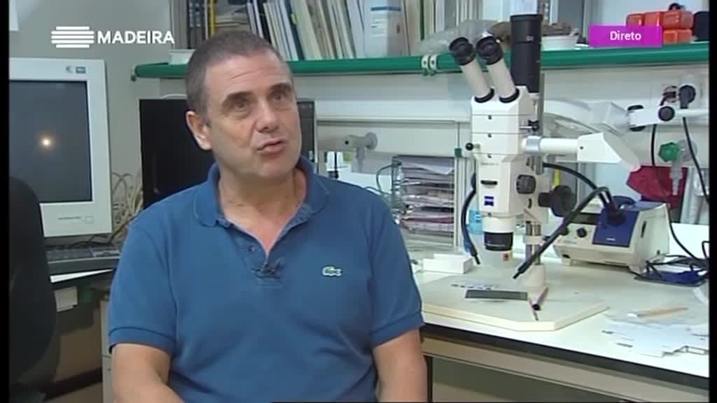 Imagem de Pátio dos Estudantes 2019