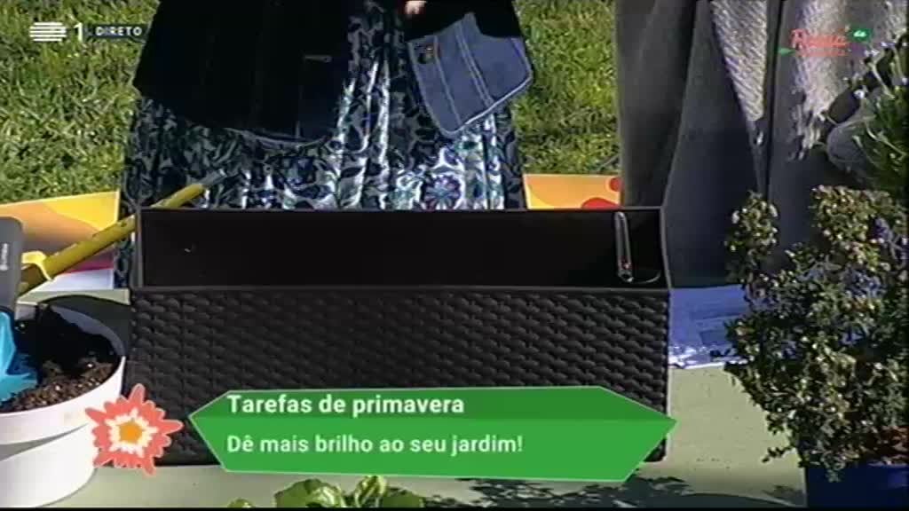 Imagem de Festa da Primavera