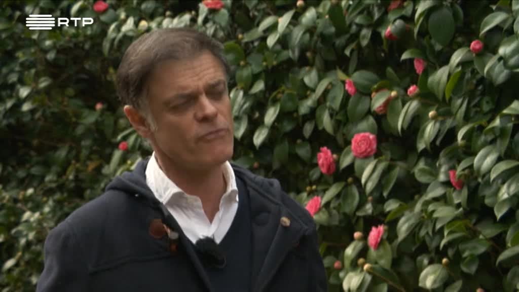 Imagem de Visita Guiada - Jardim Botânico do Porto