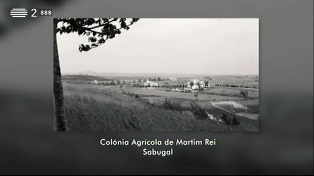 Imagem de Visita Guiada - Antiga Colónia Agrícola de Santo Isidro de Pegões