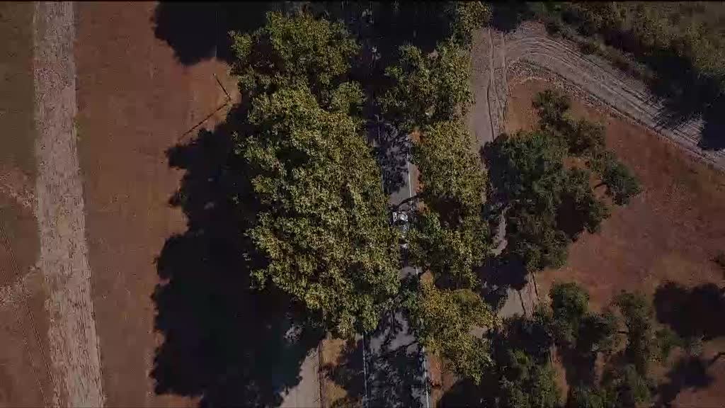 Imagem de Portugal Mais Perto