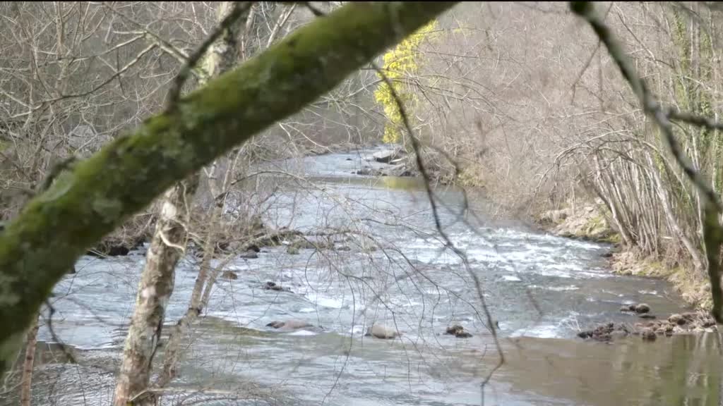 Imagem de Portugal Mais Perto