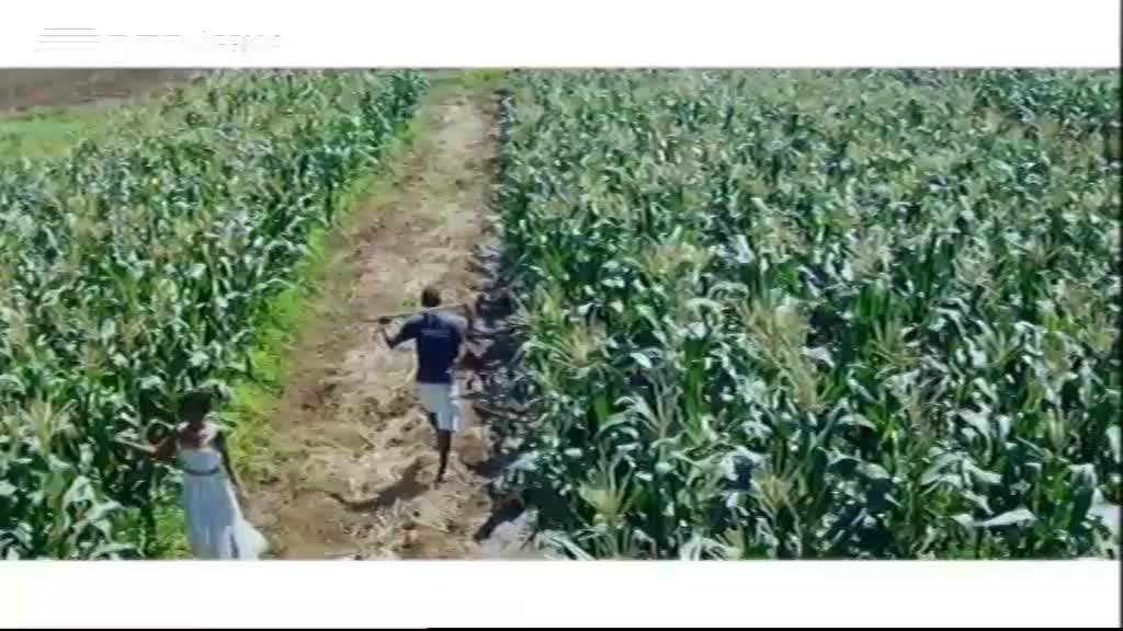 Imagem de Músicas d´África