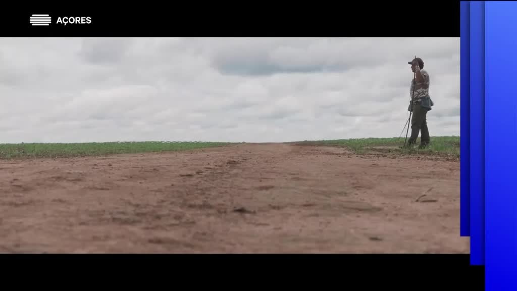 Imagem de 1ª Fila - Com Graça Moniz