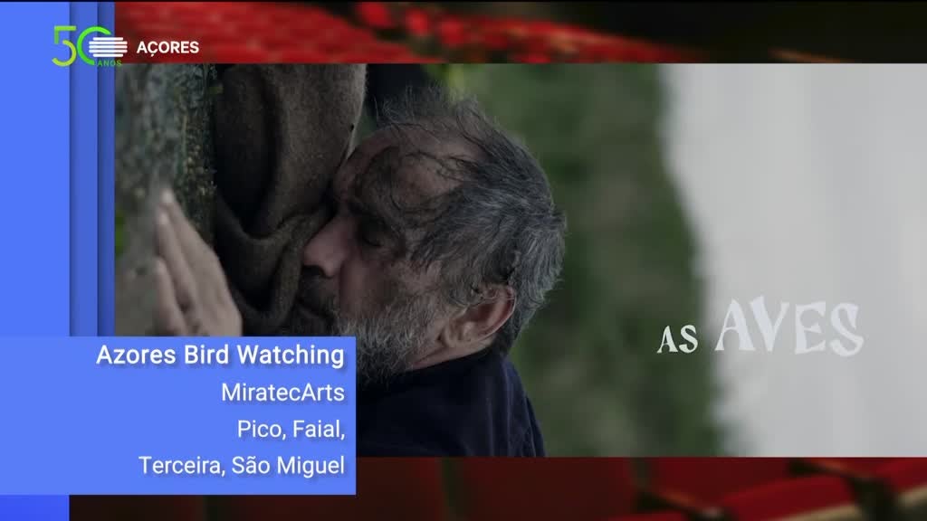 Imagem de 1ª Fila - Com Graça Moniz