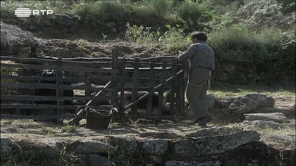 Imagem de Quando os Lobos Uivam