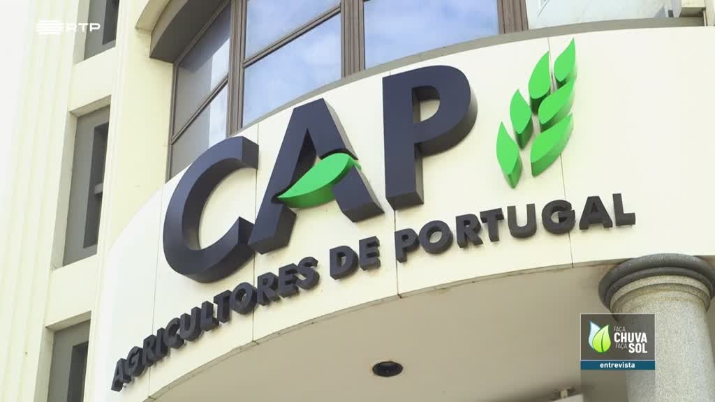 Imagem de Faça Chuva Faça Sol