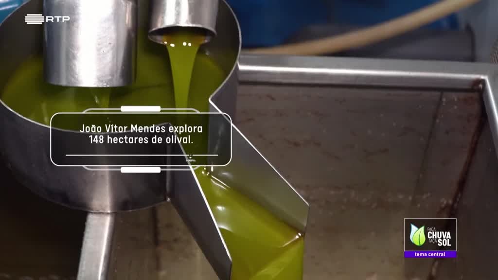 Imagem de Faça Chuva Faça Sol