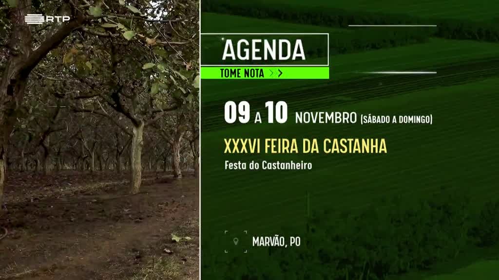 Imagem de Faça Chuva Faça Sol