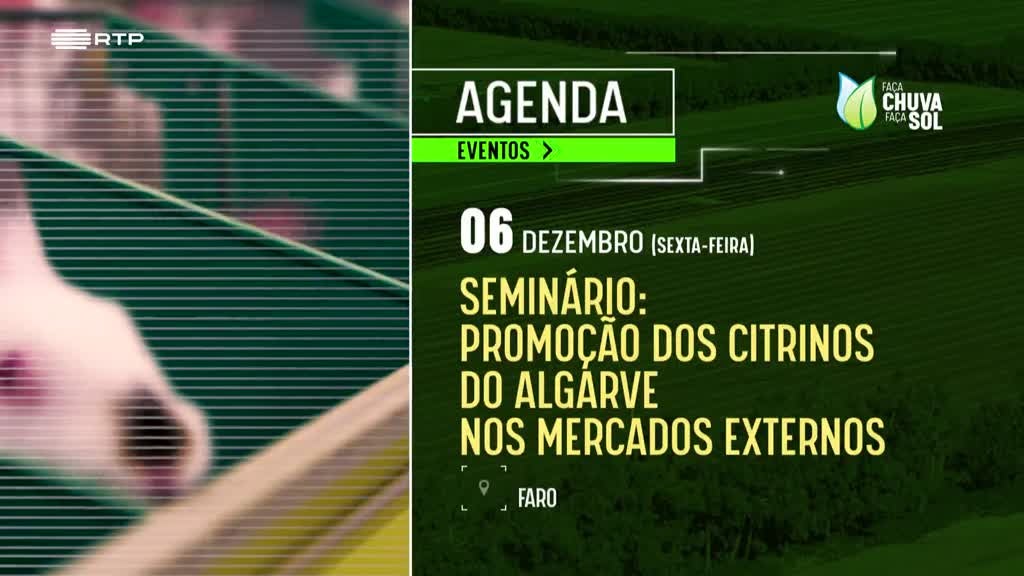 Imagem de Faça Chuva Faça Sol