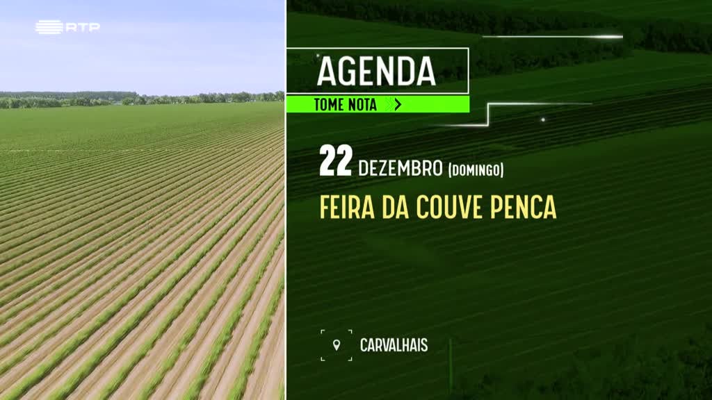 Imagem de Faça Chuva Faça Sol