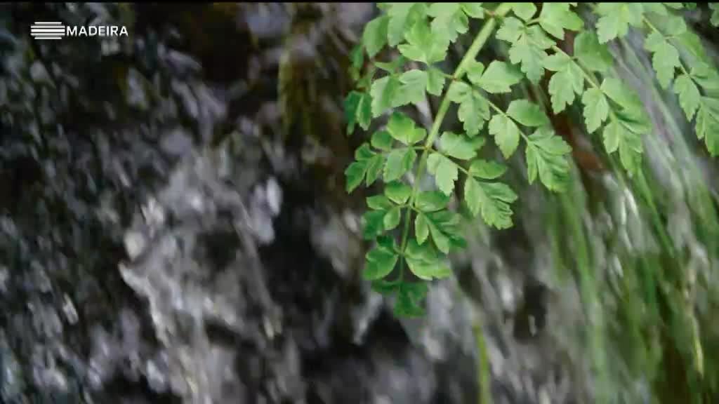 Imagem de Origem da Água