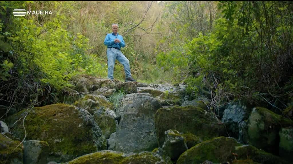 Imagem de Origem da Água