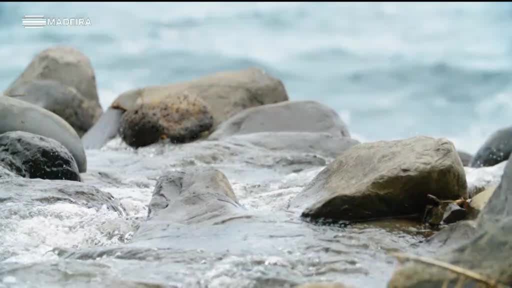 Imagem de Origem da Água