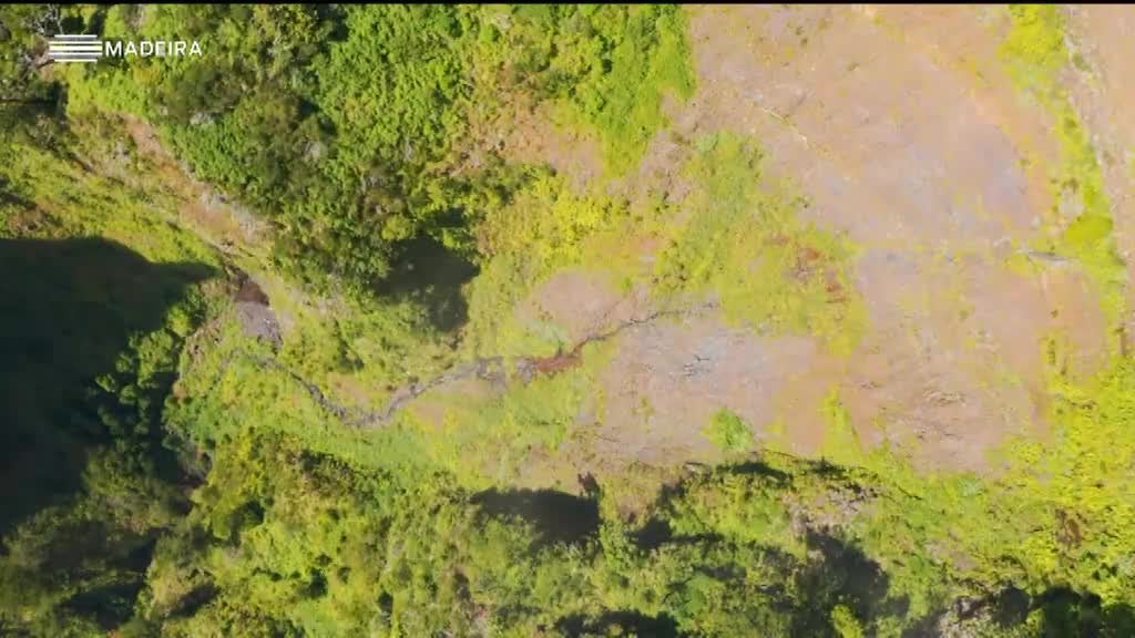 Imagem de Origem da Água