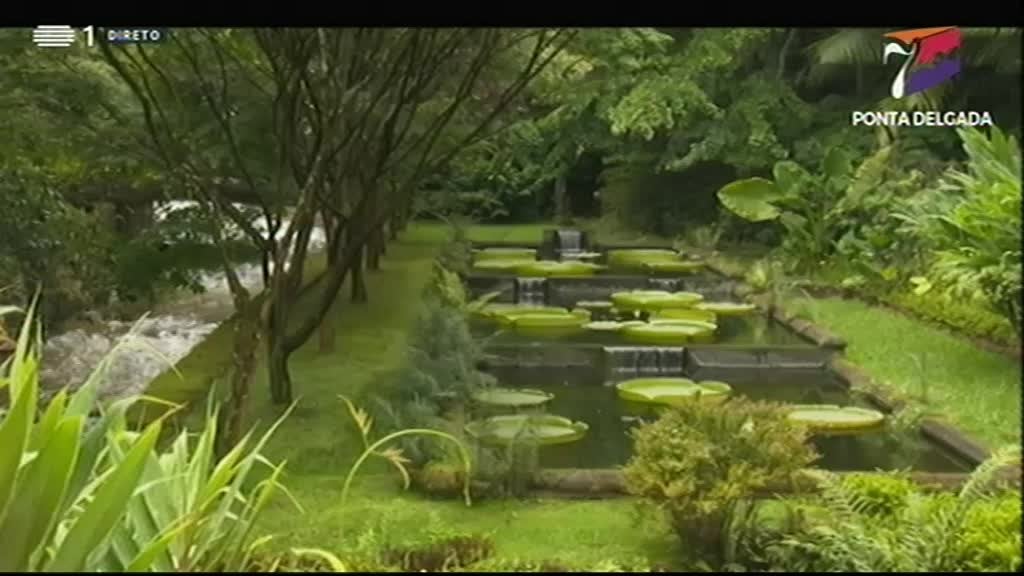 Imagem de 7 Maravilhas Doces de Portugal - Ponta Delgada
