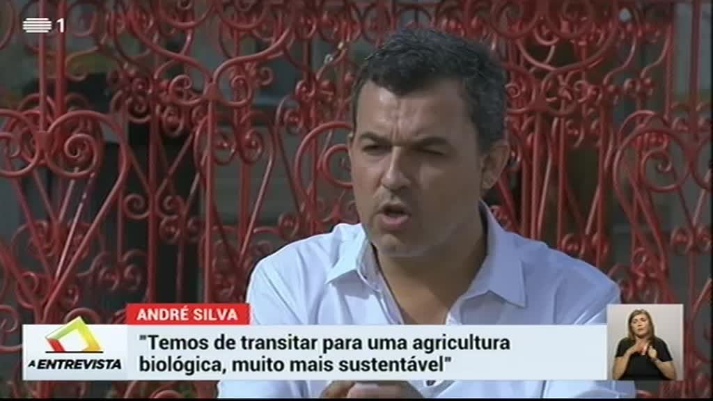 Imagem de Debates Legislativas 2019 - A Entrevista: André Silva