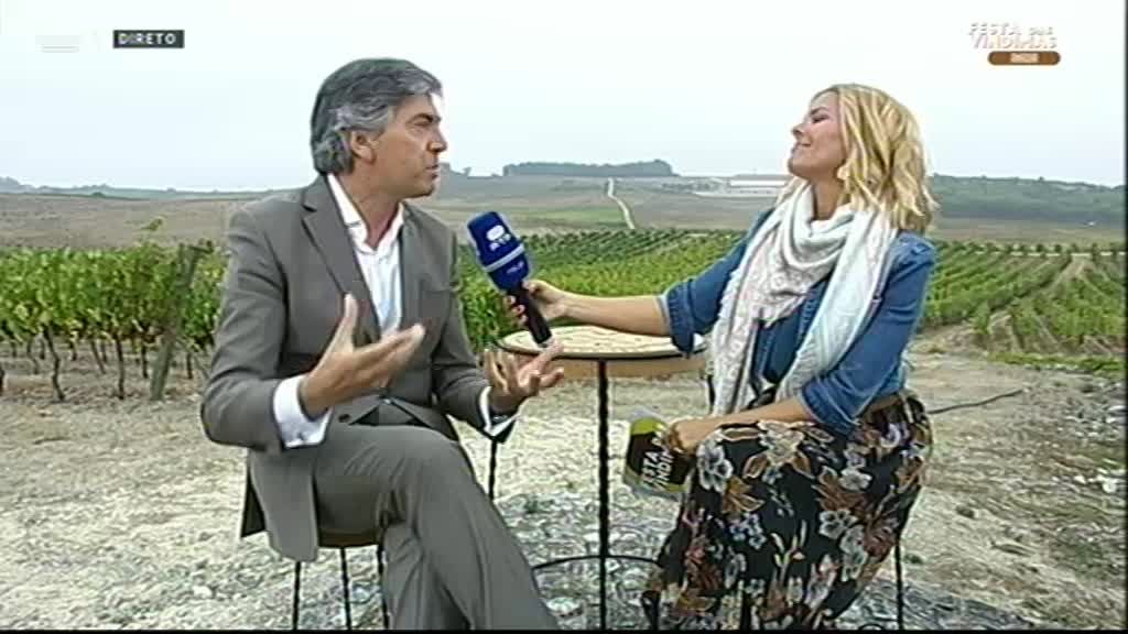 Imagem de Festa das Vindimas - Espumante, Bairrada