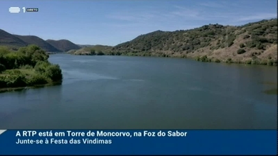 Festa das Vindimas - Vinho do Douro
