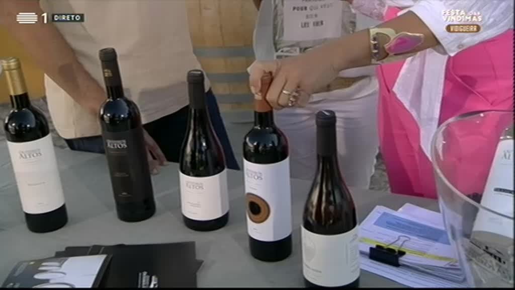 Imagem de Festa das Vindimas - Vinho de Talha, Alentejo