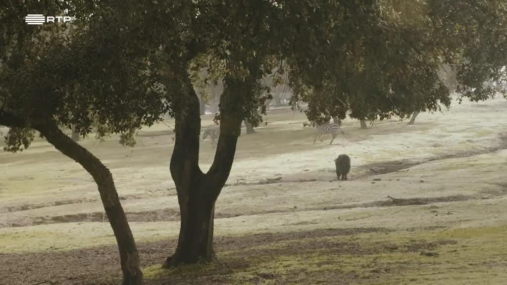 Imagem de Estrada Nacional