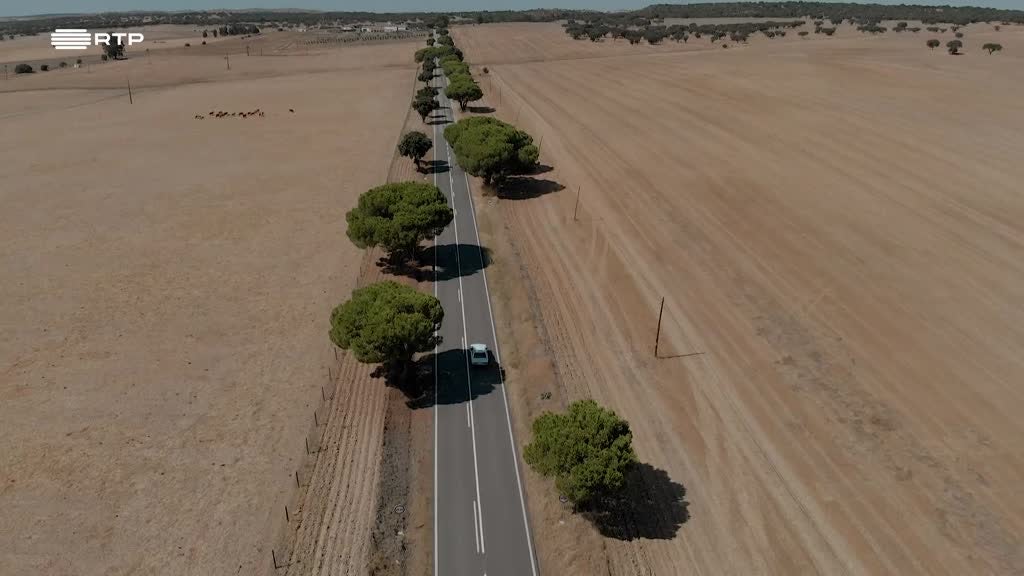 Imagem de Estrada Nacional