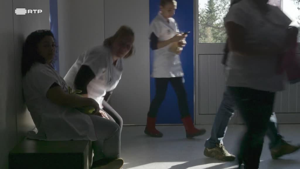 Imagem de Outra Escola - Motivação - Curso Profissional de Cabeleireiro Unissexo, IEFP, Alcoitão