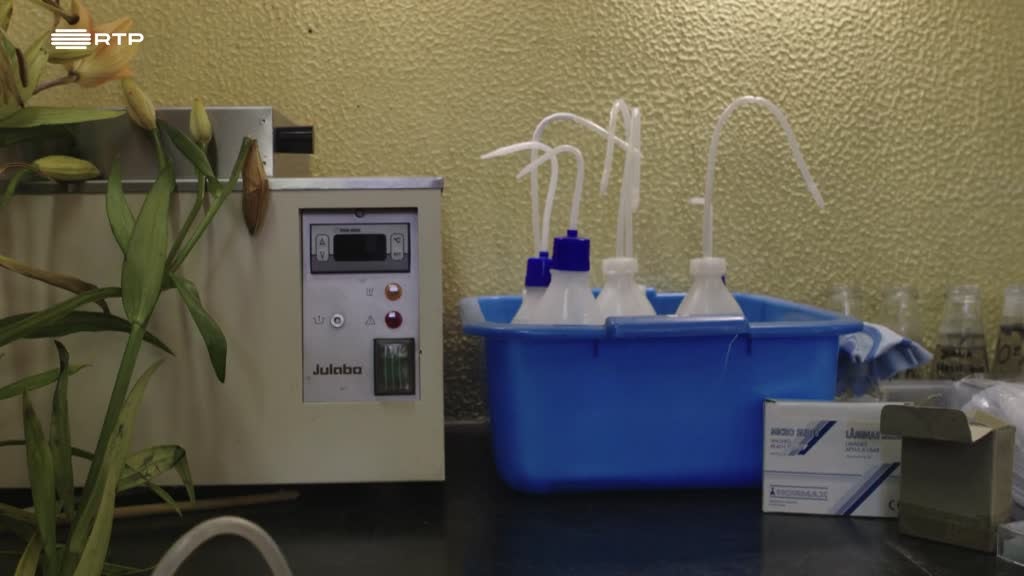 Imagem de Outra Escola