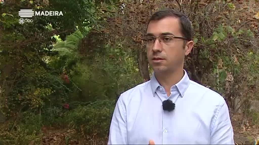 Imagem de Assim Não