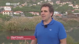 Assim Não