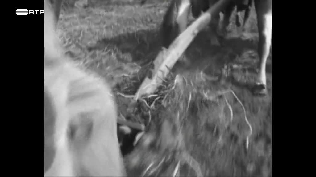 Imagem de Em Busca do Museu Desconhecido