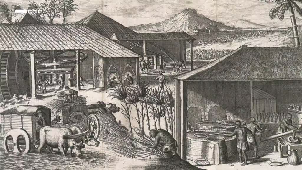 Imagem de Em Busca do Museu Desconhecido