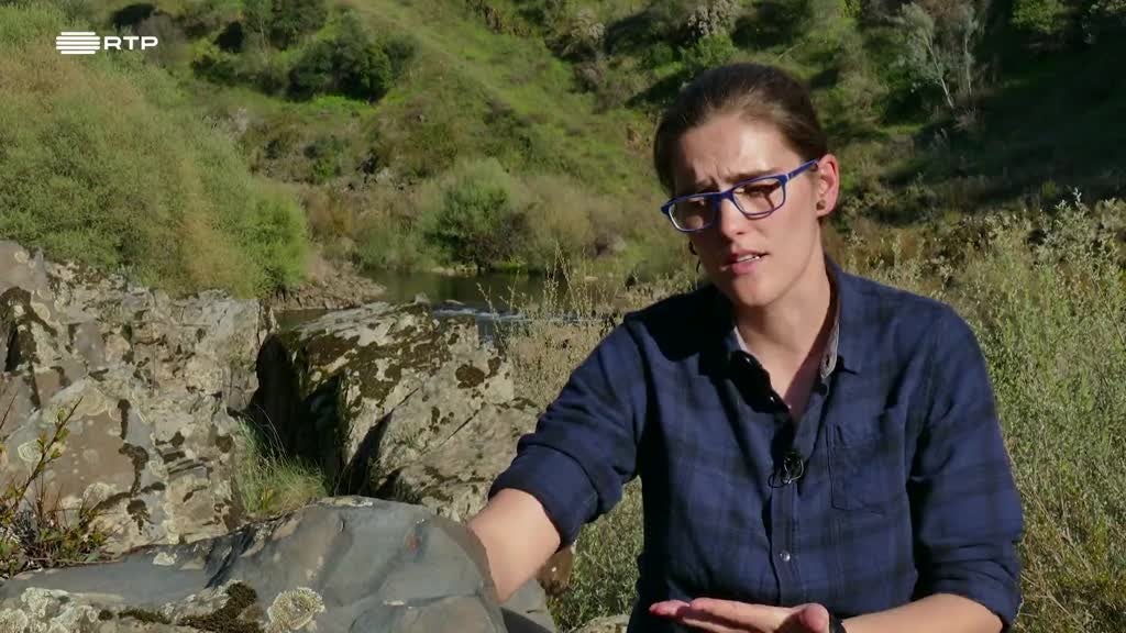 Imagem de Em Busca do Museu Desconhecido