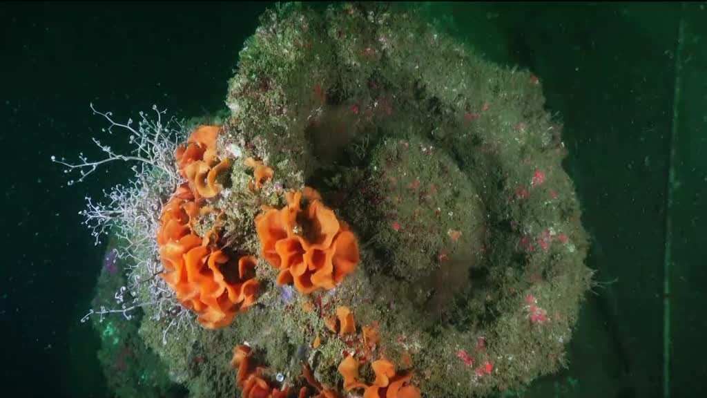 Imagem de Mar, a Última Fronteira - O Algarve