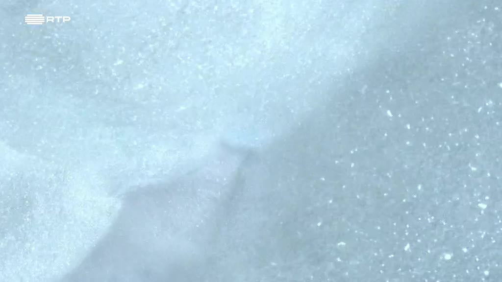 Imagem de Twirlywoos