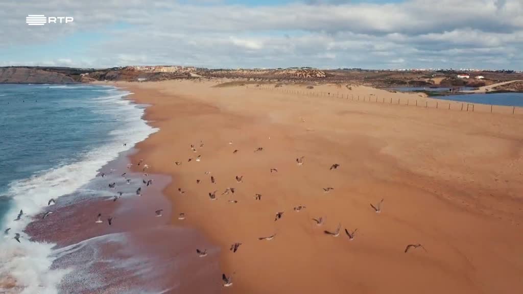 Imagem de As Idades da Inocência