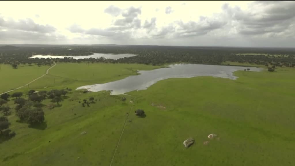 Imagem de Desporto 2