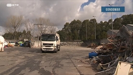 A Invasão das Gaivotas Urbanas